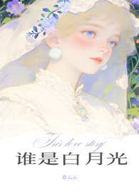 谁是白月光歌名